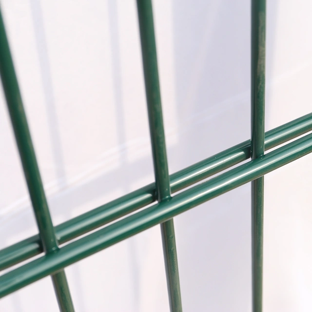 656 Twin Wire Fence Manufacturer, Powder Coated Ral 6005 Fence Manufacture.