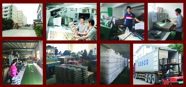 Mengyue Factory View Mengyue Factory View