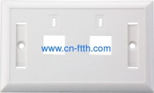 Dual Ports Wallmount Plate?