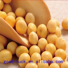 Chinese soya beans ,non-GMO,good quality,cheap price                        
                                                Quality Choice
