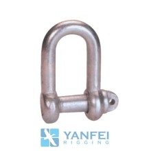 BS3032 Large Dee Shackle