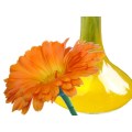 Calendula carrier oil for skin care