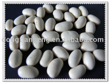 white kidney beans