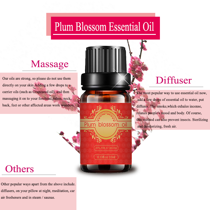 Private label plum blossom oil for skin care