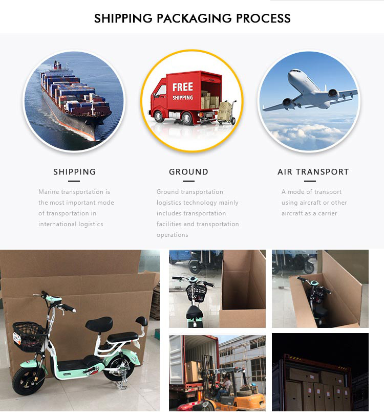 Adult Electric Motorbike Electric Motorcycle in Electric Scooters with New Design