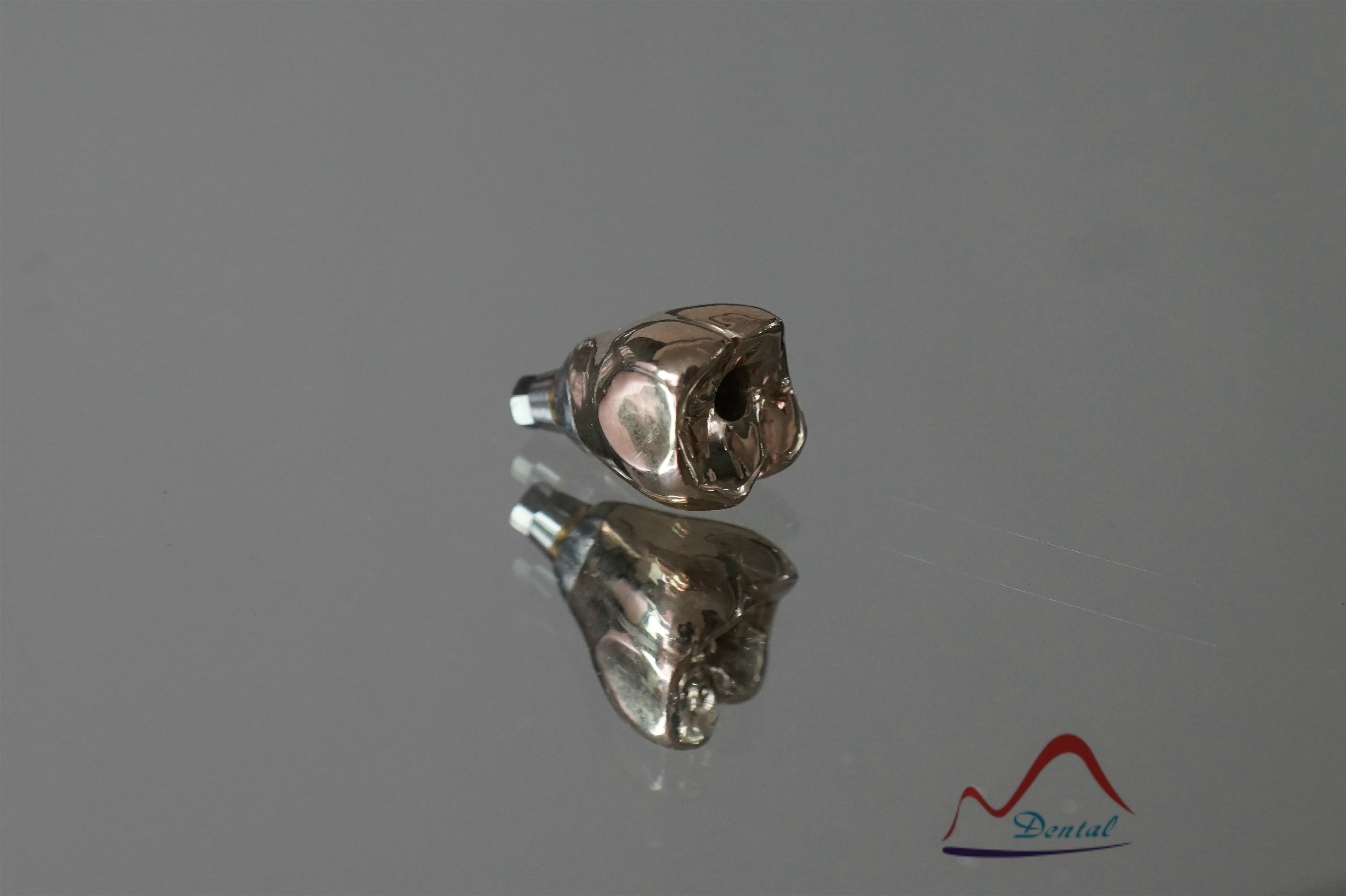 Implant full metal(2) Implant full metal(2)