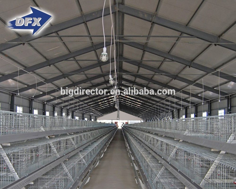 Commercial Automated Steel Prefab Poultry Farm Chicken House Design For Broiler