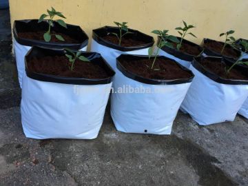 Greenhouse grow bags for vegetable planting