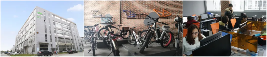 Factory Sale Cheap Electric Bicycle Lightweight Small Electric Folding Bike