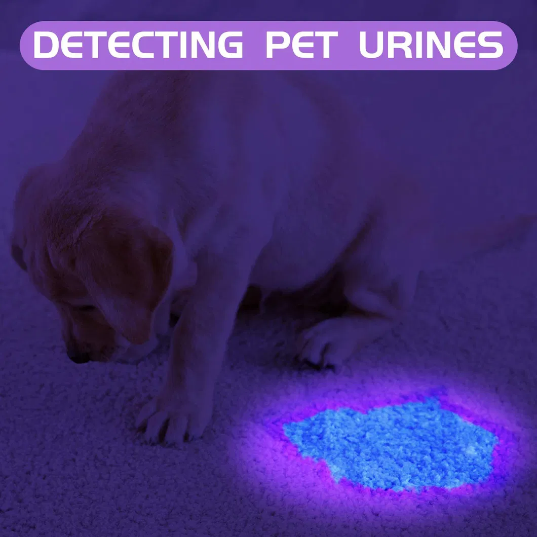 Portable Handheld Torch for Eliminating Dog Urine Stains