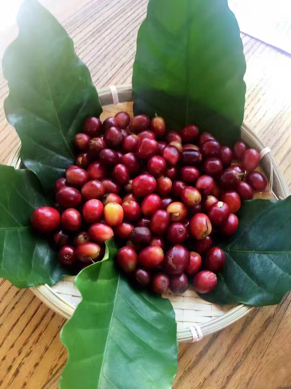 Đậu cà phê arabica hữu cơ