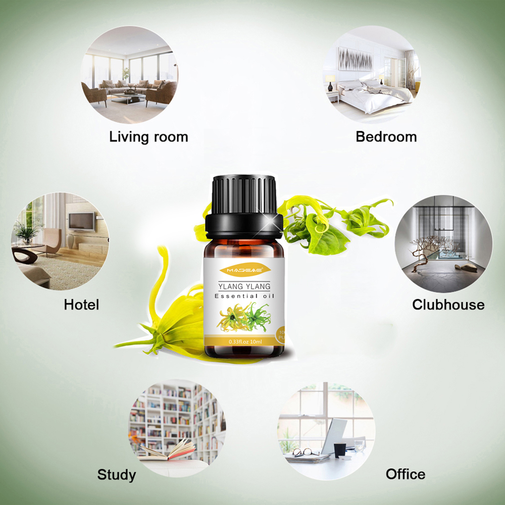 ขายส่งน้ำมันหอมระเหย Ylang Ylang ชั้นนำ 100%