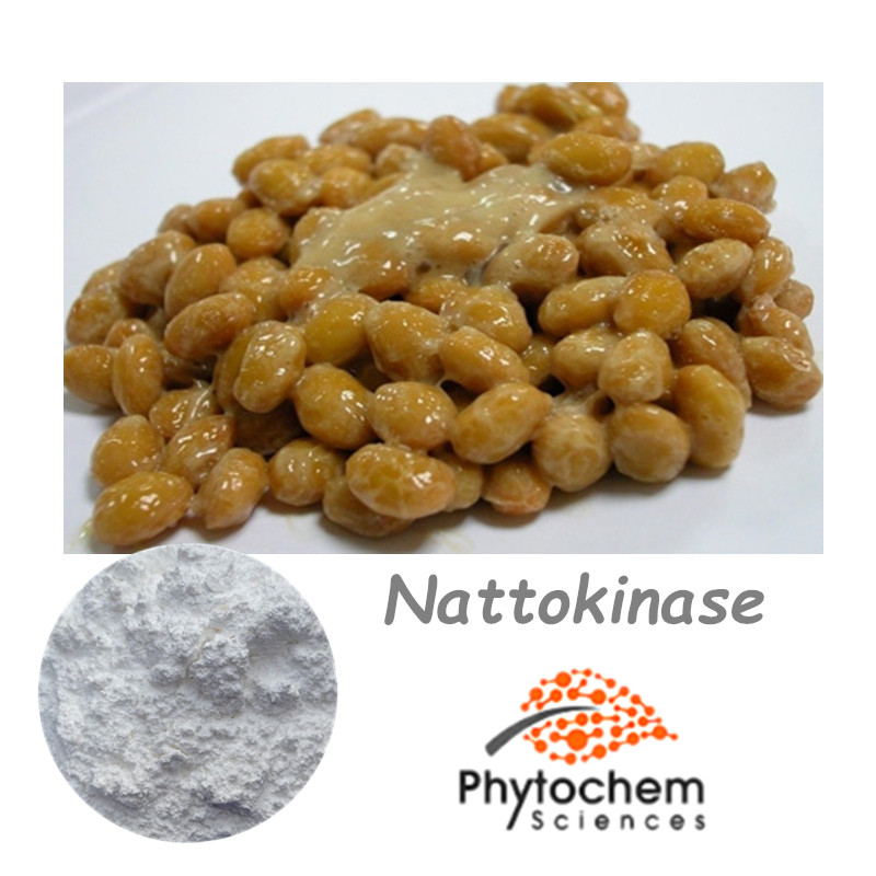 Organic certificated 20000fug nattokinase enzymes powder