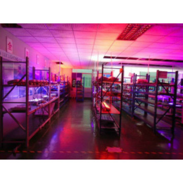 Melhor Full Spectrum LED Grow Lights Avaliações