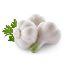 2016 New Crop Fresh Garlic