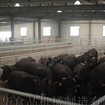 Automatic Halal Cow Slaughter Machinery