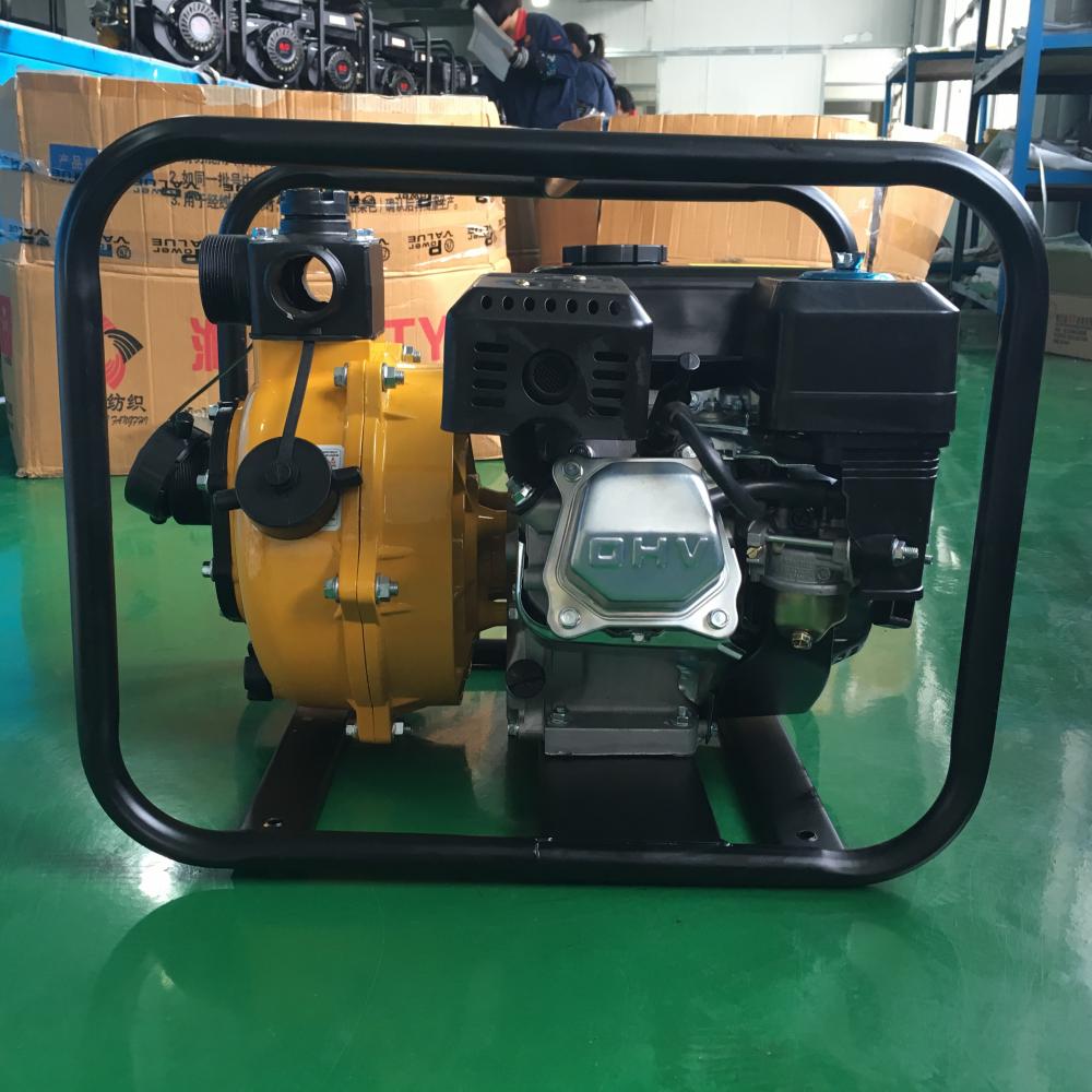 High Pressure Petrol Water Pump