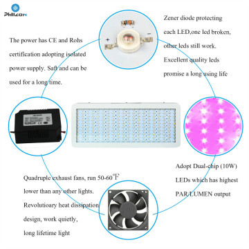 Luce progressiva per piante a LED a spettro completo