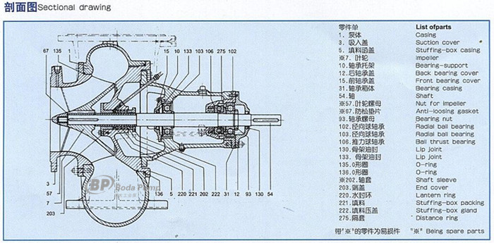 SP1