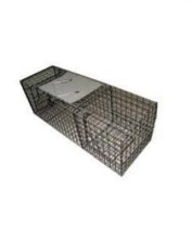Wire Mesh Trap (TFFT-19)