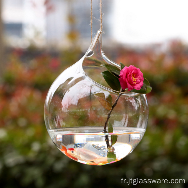 Vase en verre boule de terrarium en verre suspendu