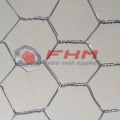 Mesh Wire Mesh Galvanized Berat untuk Burung