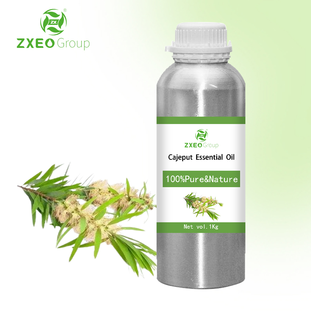 Wholesale plant natural organic Melaleuca melaleuca essential oil distilled in bulk to extract quality Cajeput Essential Oil