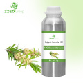 Glant en gros Natural Organic Melaleuca Melaleuca Huile essentielle distillée en vrac pour extraire l&#39;huile essentielle de cajeput de qualité