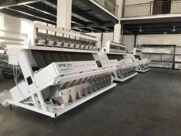 colour sorter machine price