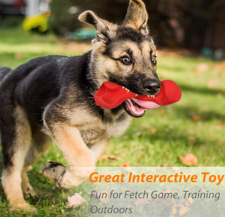 Juguetes para perros Dog Toys