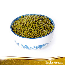 Green mung beans after sleceted