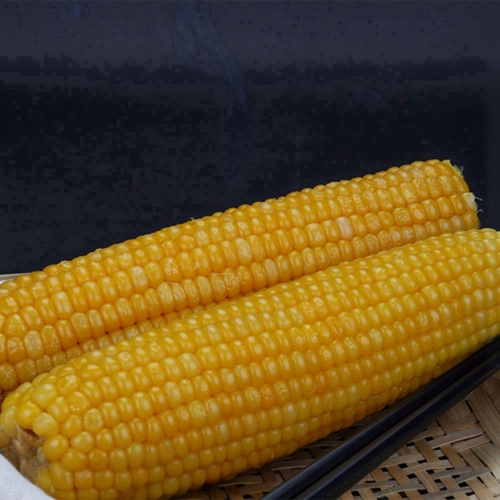 Jak długo gotować kukurydzę na kolbie