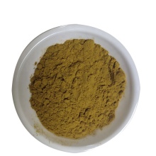 Cassia Seed Extract Powder Total Anthraquinone 2% Powder