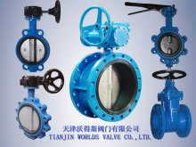 Ductile Iron Valves