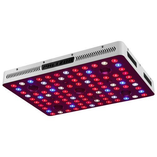 2500W Vollspektrum COB -LED -Pflanze wachsen Licht