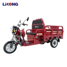 Lilong Delivery: 1.3m Electric Tricycle Cargo Loader