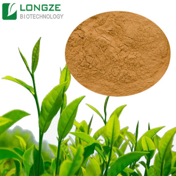 Pure Green tea extract Powder