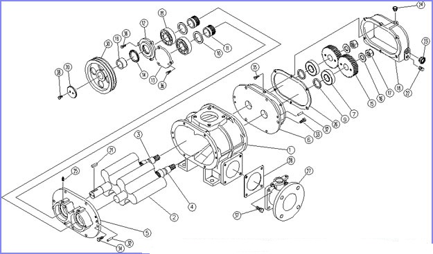 Промышленные вакуумные насосы с воздуходувкой Рутса Industrial Roots Blower Vacuum Pumps
