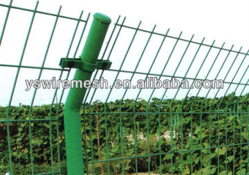 50x100mm welded garden fence/green color coated fence/welded mesh fence