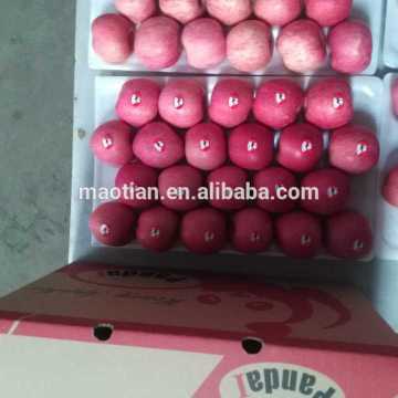 Crisp Honey Fuji Apple Pome Fruit