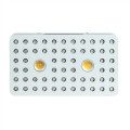 Veg Bloom COB LED Grow Lights Interior Growing