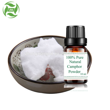 High Quality Natural Camphor powder at bulk price