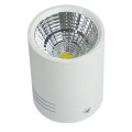 LEDER Dimmable Decorative White 3W LED Downlight