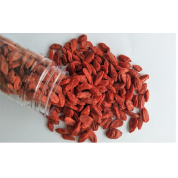 Low residues Bulk Wholesale Ningxia goji berry