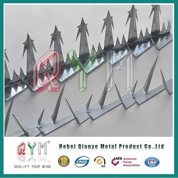 Hot Dipped Galvanized Security Spikes/ Trident Wall Spikes