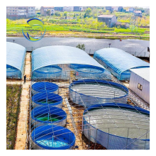 Low-Investment Fish Pool Farming: High Income PVC Tarpaulin Fish Tank System