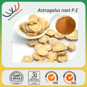 Free sample ! astragalus extract , astragalus root extract , astragalus bark extract