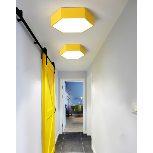 LEDER Bule Flush Ceiling Lamps