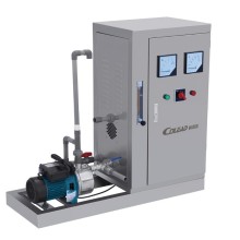 Vegetable Fruit Washing Ozone Sterilization Machine