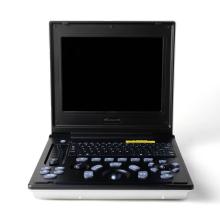 Laptop ultrasound for perirenal gap in Maine cats